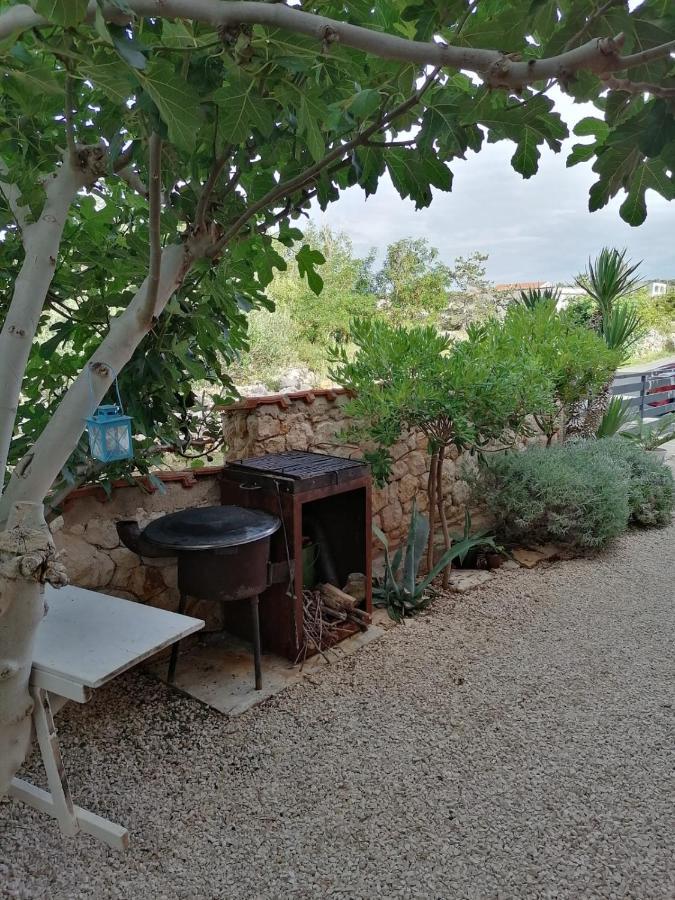 House For Rent Paola Villa Ražanac Eksteriør bilde